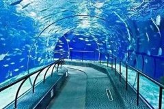 Menerima-pembuatan-Aquarium-bawah-air-berkualitas-FILEminimizer