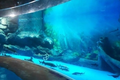 Pabrikan-Aquarium-tempat-wisata-harga-bersahabat-FILEminimizer