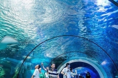 Pembuatan-Aquarium-air-tawar-besar-murah-FILEminimizer