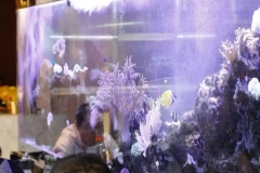 harga-aqua-trekking-di-surabaya-FILEminimizer