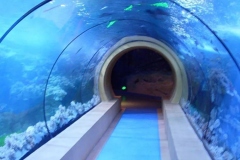 jasa-Aquarium-air-laut-dengan-ukuran-khusus-FILEminimizer