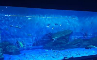 Akuarium akrilik tebal dan mewah untuk ikan – CALL/WA: 081803215590