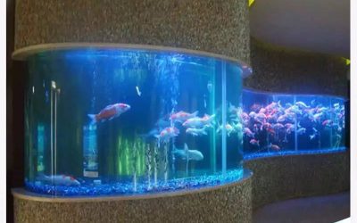 Akuarium custom berbagai bentuk dan harga – CALL/WA: 081803215590