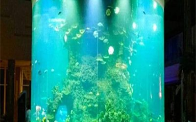 Akuarium murah dari akrilik berbagai bentuk – CALL/WA: 081803215590