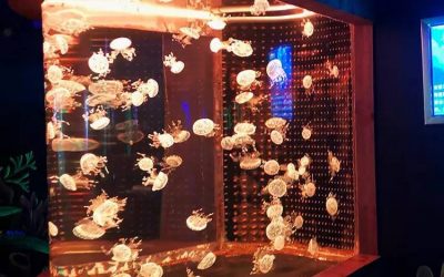 Akuarium untuk hotel – CALL/WA: 081803215590