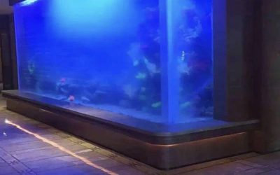 Aqua space aquarium custom – CALL/WA: 081803215590