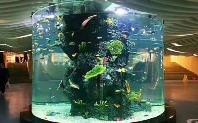 Aquarium akrilik untuk air tawar – CALL/WA: 081803215590