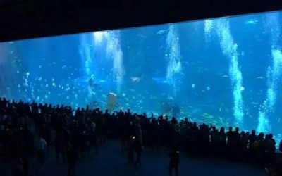 Aquarium bawah laut berkualitas dari akrilik – CALL/WA: 081803215590