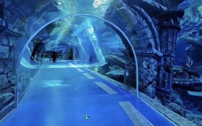 Aquarium bawah tanah – CALL/WA: 081803215590