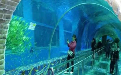Aquarium bawah tanah dengan ukuran sesuai permintaan – CALL/WA: 081803215590