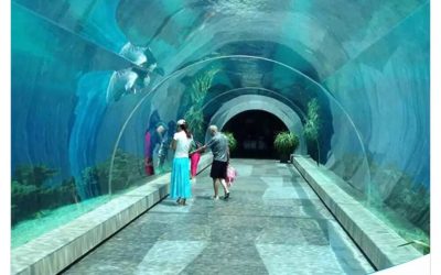 Aquarium besar raksasa murah berkualitas terbaik – CALL/WA: 081803215590