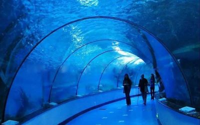 Aquarium custom bawah air laut berkualitas – CALL/WA: 081803215590