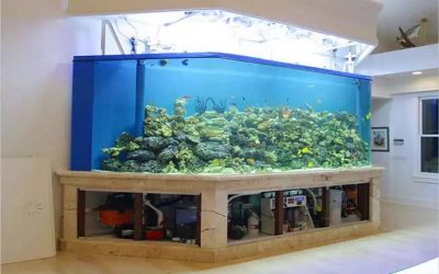 Aquarium dari akrilik dengan bentuk custom – CALL/WA: 081803215590