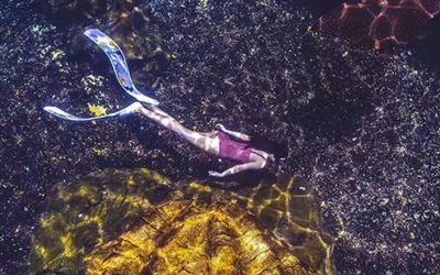 Aquarium diving murah berkualitas – CALL/WA: 081803215590