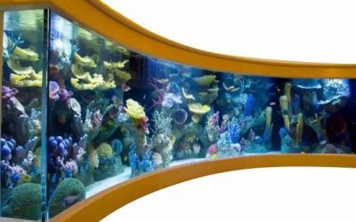 Aquarium murah untuk hotel dan restoran – CALL/WA: 081803215590