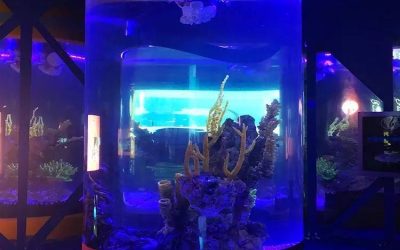 Aquarium pertunjukan ikan bentuk tabung – CALL/WA: 081803215590