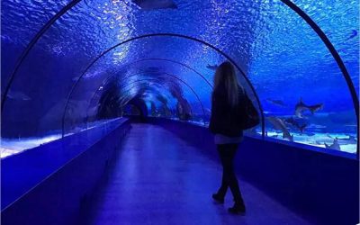 Aquarium pertunjukan ikan hiu akrilik murah – CALL/WA: 081803215590