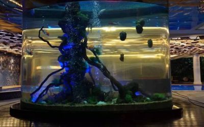 Aquarium silinder custom ukuran – CALL/WA: 081803215590