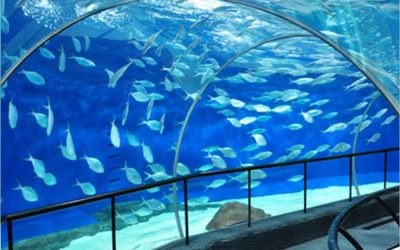 Aquarium super besar untuk restoran bawah air – CALL/WA: 081803215590