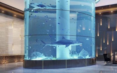 Jasa Pembuatan Custom Aquarium Besar di Indonesia – CALL/WA: 081803215590