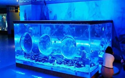 aquarium besar di jakarta dan surabaya – CALL/WA: 081803215590