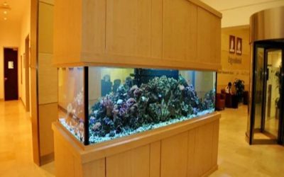 aquarium besar harga bersahabat – CALL/WA: 081803215590