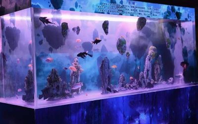 aquarium ikan hias murah segala ukuran – CALL/WA: 081803215590