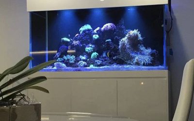 custom acrylic tangerang – CALL/WA: 081803215590